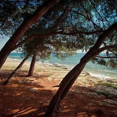Διαμέρισμα Marina Savudrija